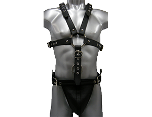 Full Body Harness
